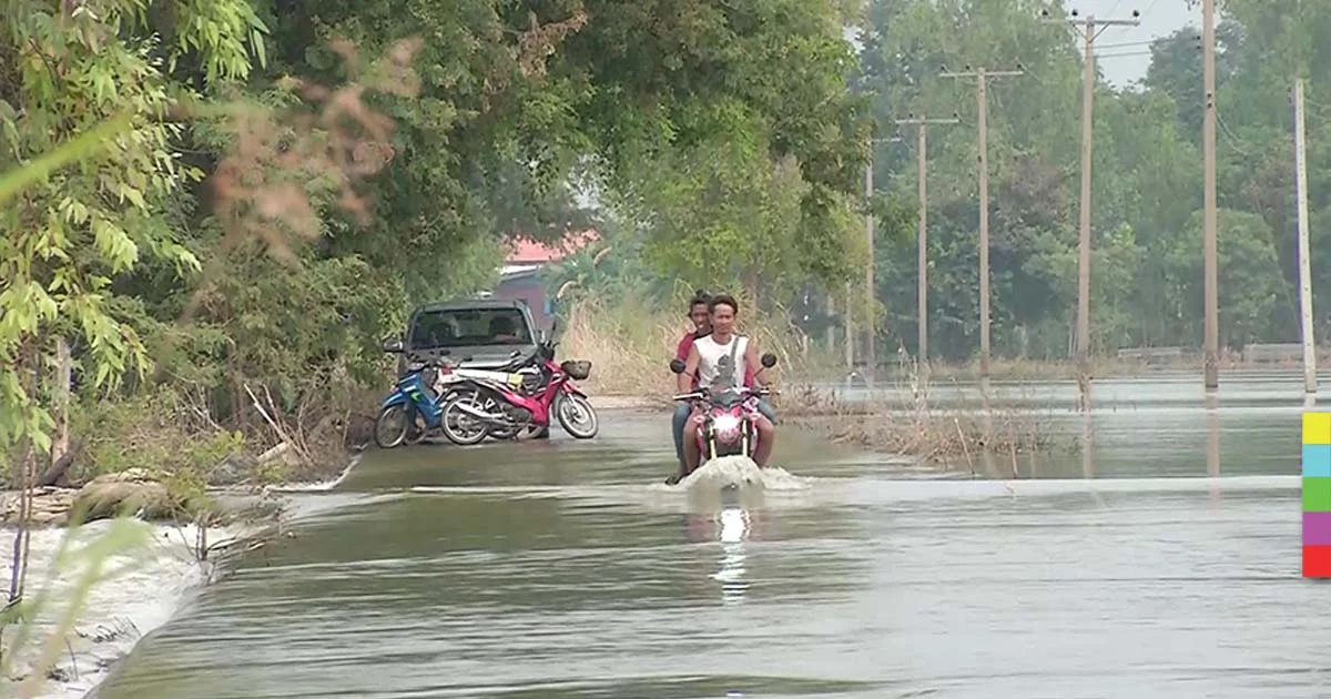 พิจิตรน้ำท่วมคลี่คลาย น้ำลด ถนนโผล่ !