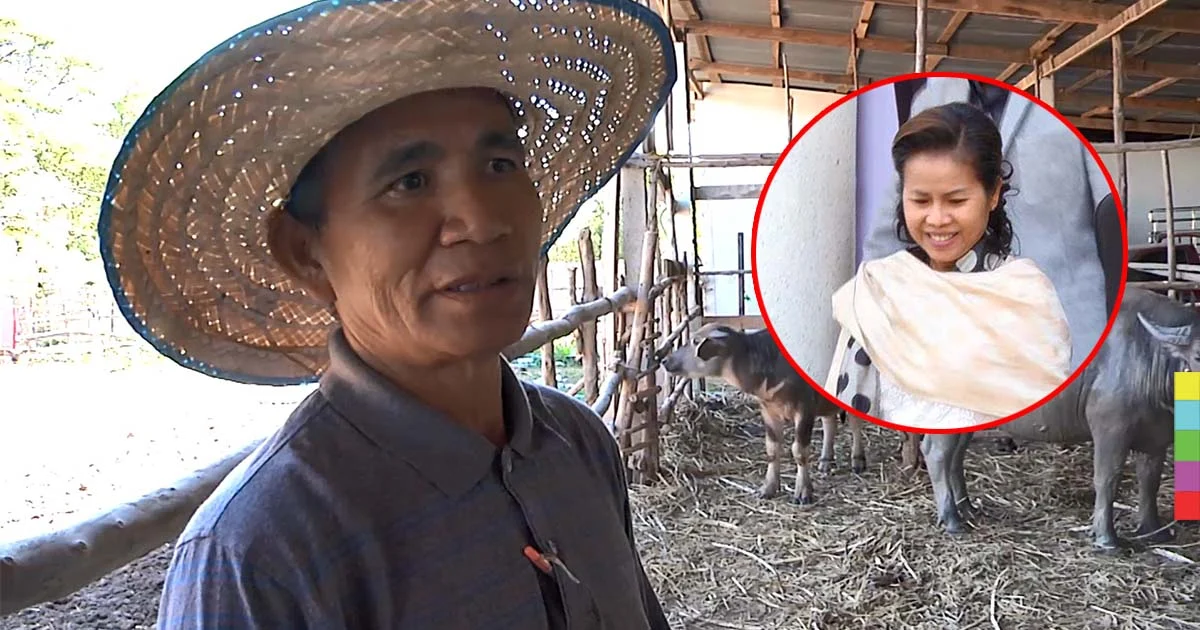 ลุงเลี้ยงควาย โต้ไม่มีใครหนุนแจ้งความจับ “ครูจอมทรัพย์”