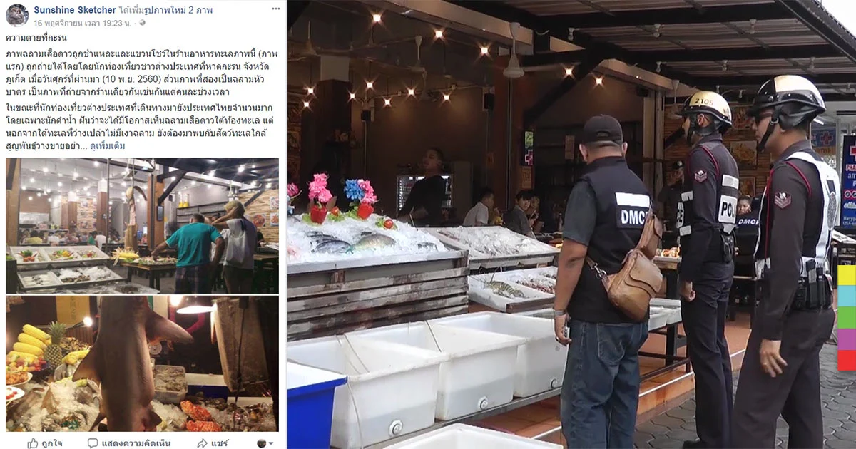 เร่งตรวจสอบร้านอาหารทะเล ชำแหละ “ฉลามเสือดาว” แขวนหน้าร้าน