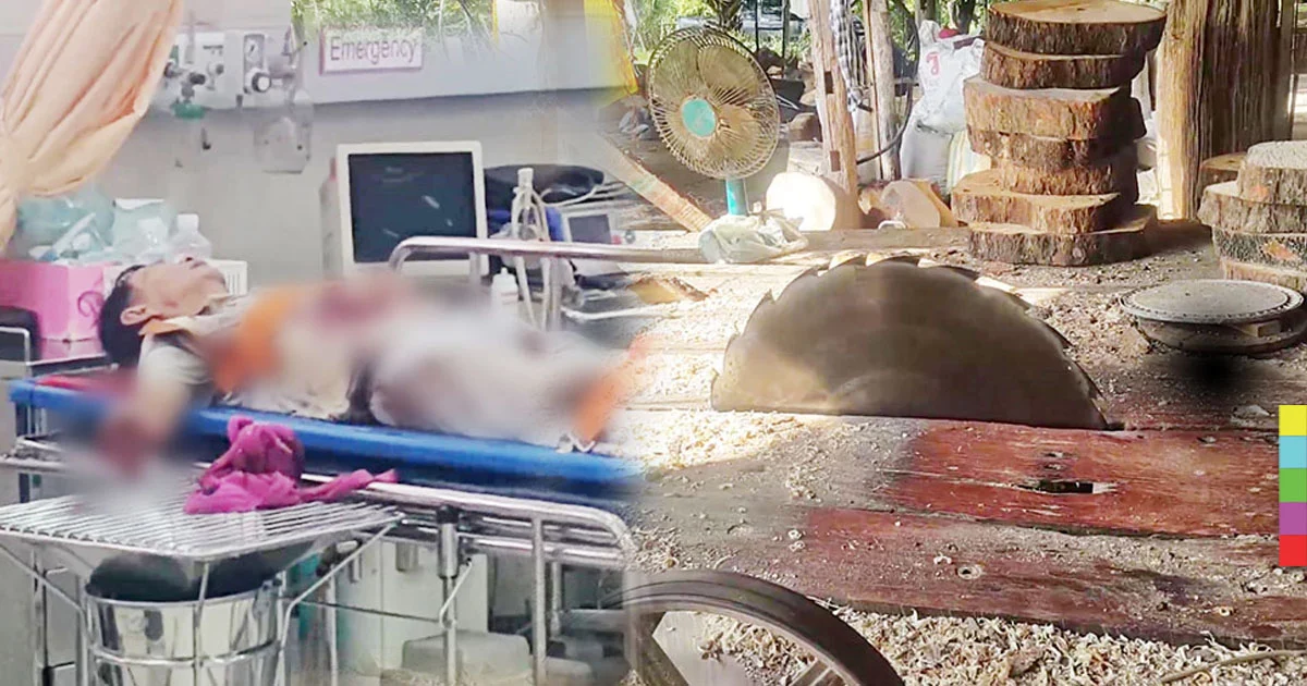 ลุงเจียเขียงไม้ ดันพลาดถูกใบเลื่อยตัดนิ้ว 4 นิ้วแหลกละเอียด