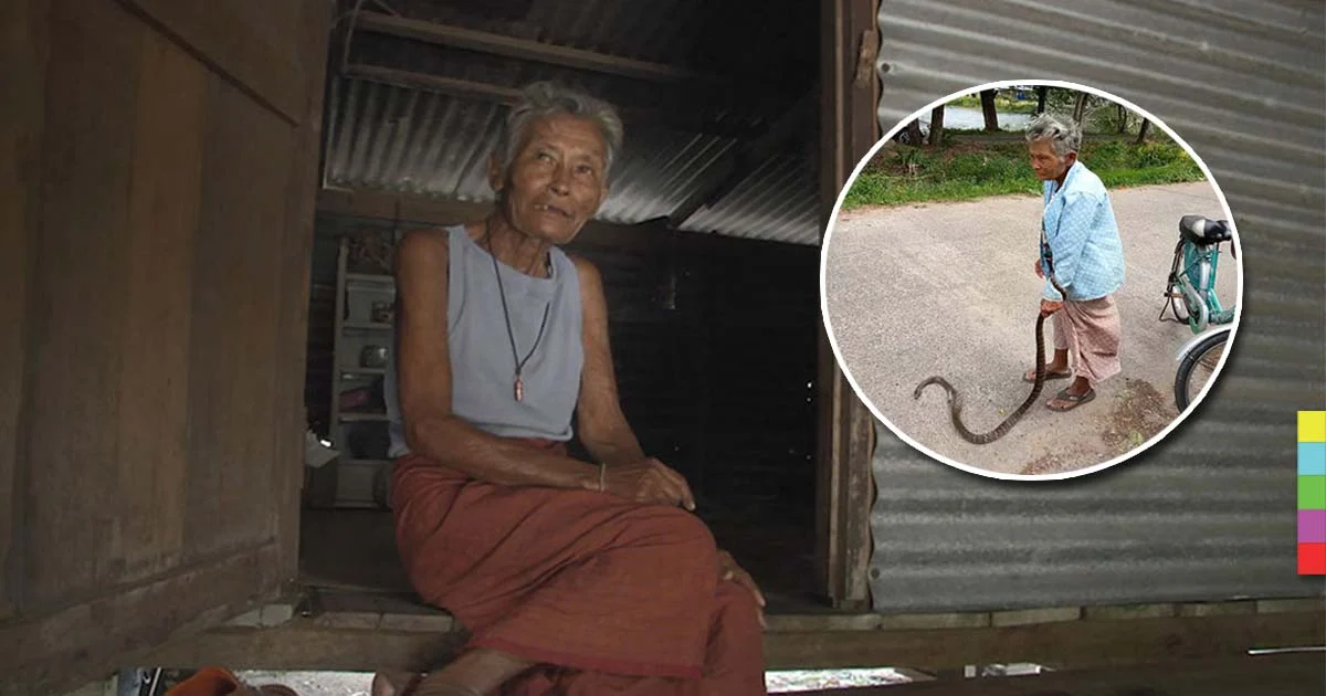 เปิดชีวิต “คุณยายสายโหด” ในคลิปจับงูฟาดพื้นจนตาย