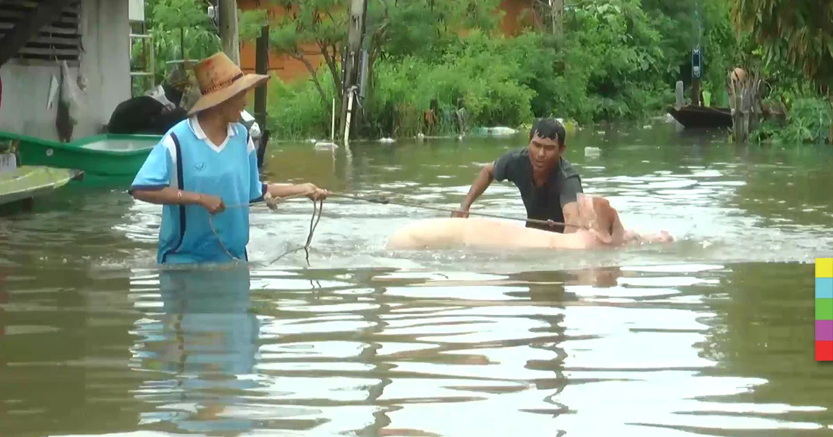 วิกฤต ! สงขลาน้ำทะเลหนุนสูง ชาวบ้านเร่งอพยพสิ่งของ
