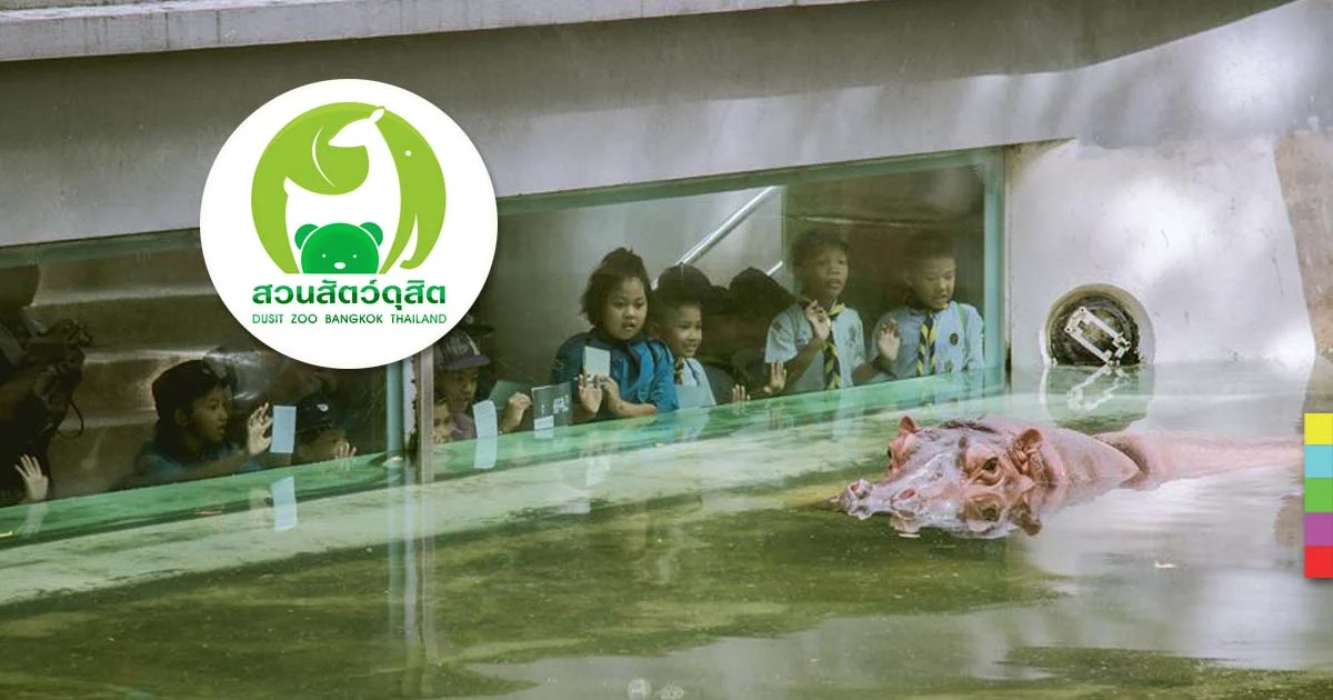 ปิดตำนานเขาดิน ความทรงจำวัยเด็ก ! ย้ายไปที่ใหม่ คลอง 6 ธัญบุรี คาดปี 62