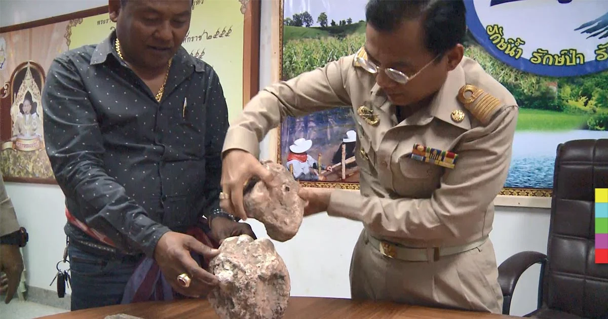 โคราชพบฟอสซิลกระดูกไนโดเสาร์ อายุ 200 ล้านปี