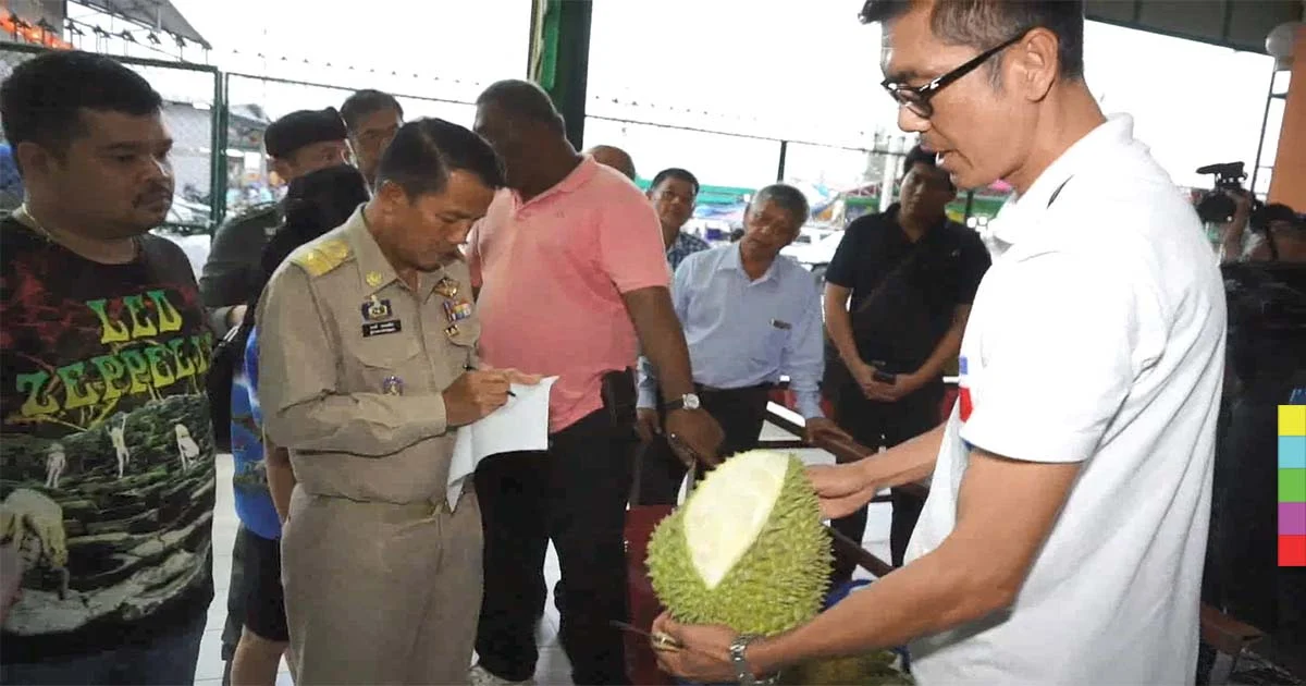 ผู้ว่าฯ ชุมพรสั่งตรวจเข้ม หลังเจอทุเรียนอ่อน ส่งไปขายต่างประเทศ