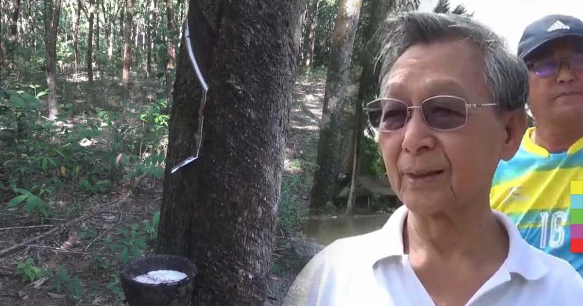 ‘ชวน หลีกภัย’ ส่งจม.ถึงนายกฯ แนบสถิติ 3 จว.ภาคใต้รายได้ลด จี้เร่งแก้!