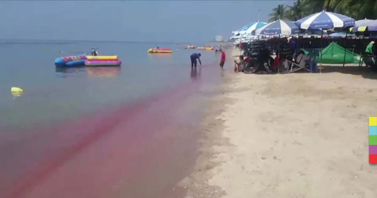 ทะเลบางแสนกลายเป็นสีชมพู เร่งหาสาเหตุน้ำทะเลเปลี่ยนสี