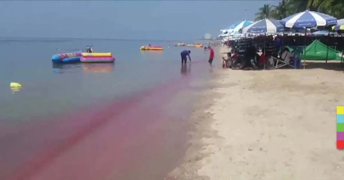 ‘ทะเลสีชมพู’ ปรากฏการณ์แพลงก์ตอนพืช ในทะเลเขตร้อน