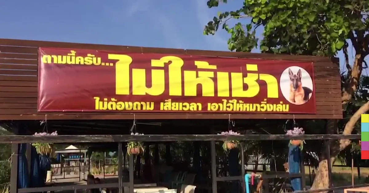 บ้านพักตากอากาศสุดหรู ของน้องหมา