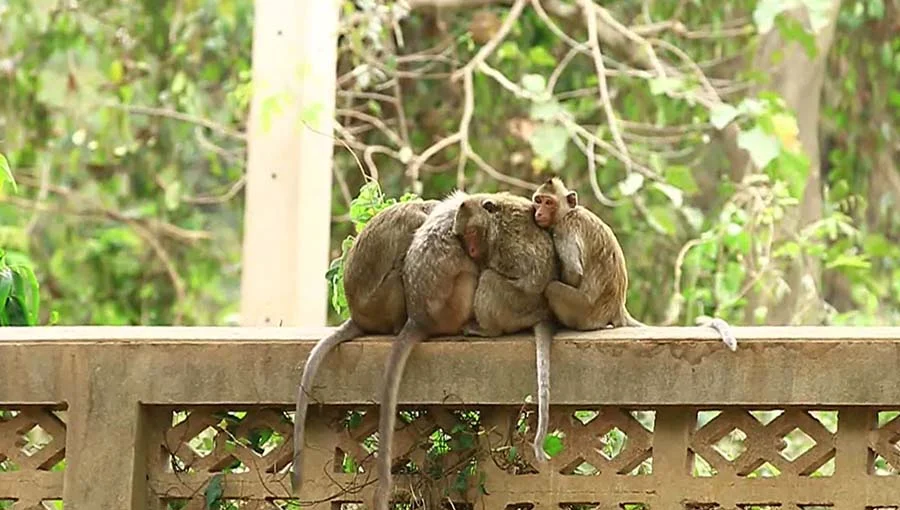 ไทยอุณหภูมิลดลง 2-4 องศา เช้านี้ กทม.อากาศเย็น 19 องศา