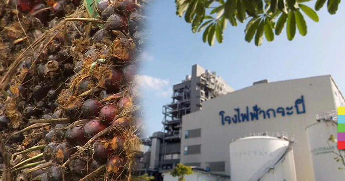 รัฐบาล แก้ข่าวสั่งโรงไฟฟ้ากระบี่ ใช้น้ำมันปาล์ม ชี้ช่วยได้น้อย แต่ทำค่าไฟแพง 10 เท่า