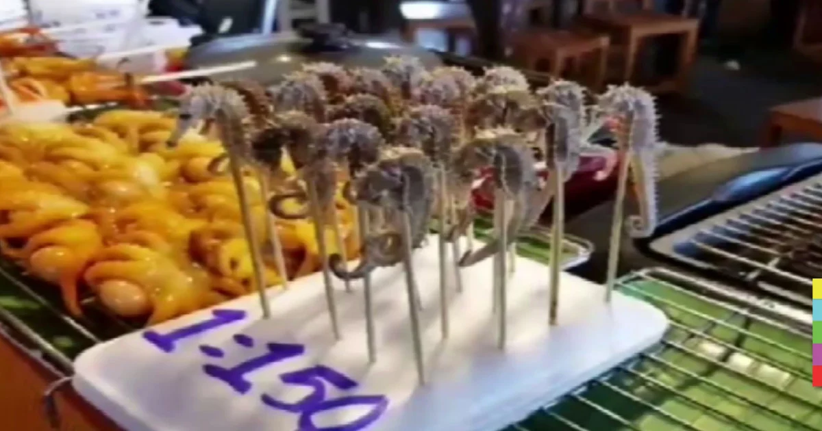 ตลาดน้ำสี่ภาคเตรียมแถลงข่าวพรุ่งนี้ หลังมีคนร้องเจอ “ม้าน้ำย่าง” ขาย