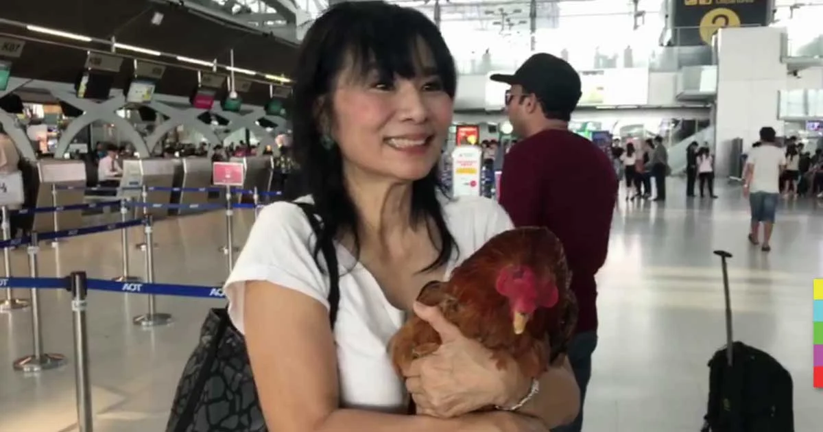 พากันแชะภาพ! “เจ้าจ๊อก” ไก่ไฮโซใส่กำไรเพชร โผล่สนามบิน