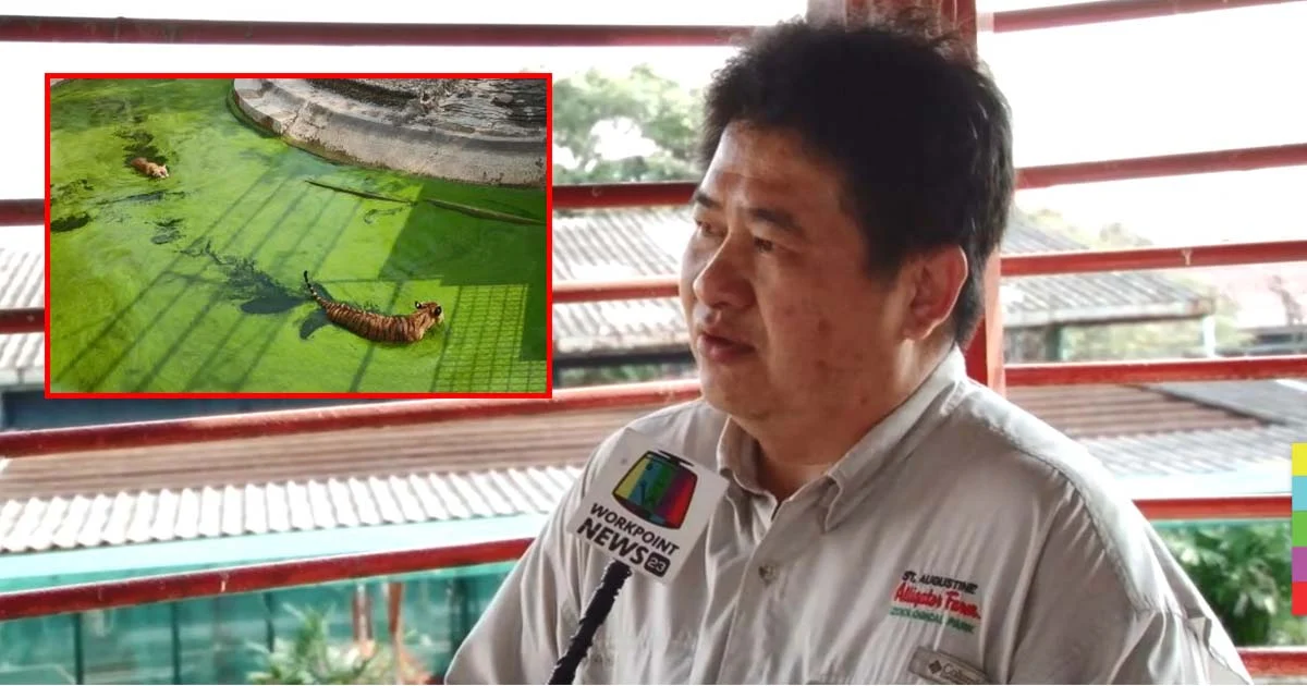 เจ้าของฟาร์มฯ แจงสภาพสัตว์-การเลี้ยงดู หลังถูกมือดีแฉภาพ