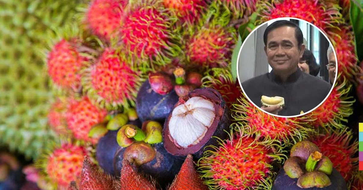 จ่อดันไทยเป็น ‘มหาอำนาจการค้าผลไม้เมืองร้อน’ พรุ่งนี้นายกฯ ไปจันทบุรี – ตราด