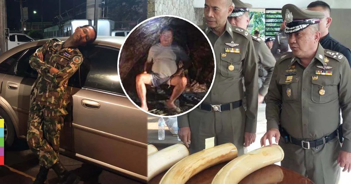ศรีวราห์ ลั่นฟ้องแน่หลังค้นบ้าน ‘เปรมชัย’ เจองาช้างปืนเพียบ ! ปกป้อง หน.วิเชียรล้น