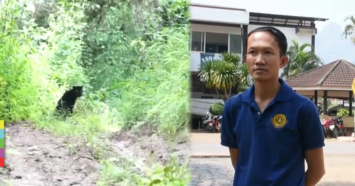 “วิเชียร” ยันไม่ท้อพร้อมสู้เพื่อป่า โฆษกกรมอุทยานฯ แฉ เคยมีใบสั่งล่าเสือข้ามชาติ