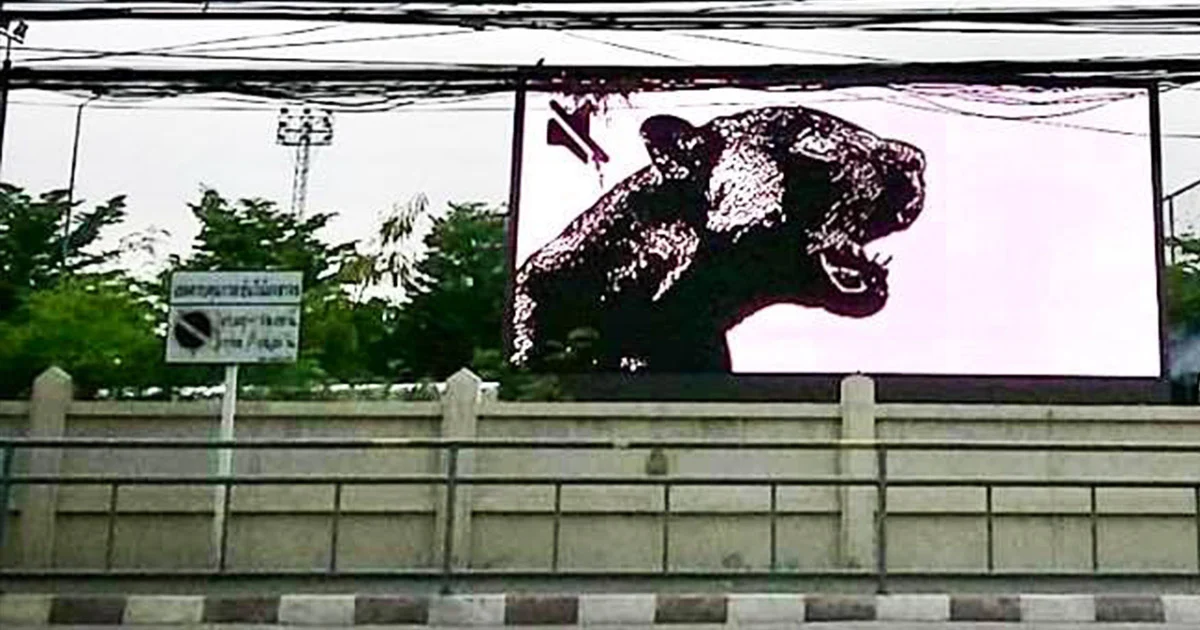 รองอธิการบดี ม.ดัง ขอโทษ ! เหตุ จนท.นำภาพเสือดำขึ้นจอ LED