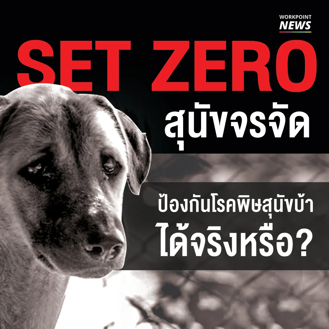 Set Zero สุนัขจรจัด ป้องกันโรคพิษสุนัขบ้าได้จริงหรือ?