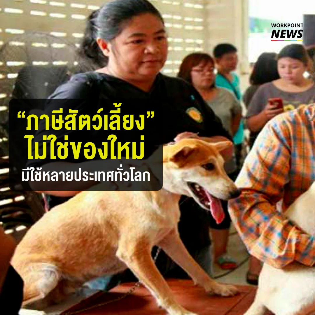 “ภาษีสัตว์เลี้ยง” ไม่ใช่ของใหม่ มีใช้หลายประเทศทั่วโลก