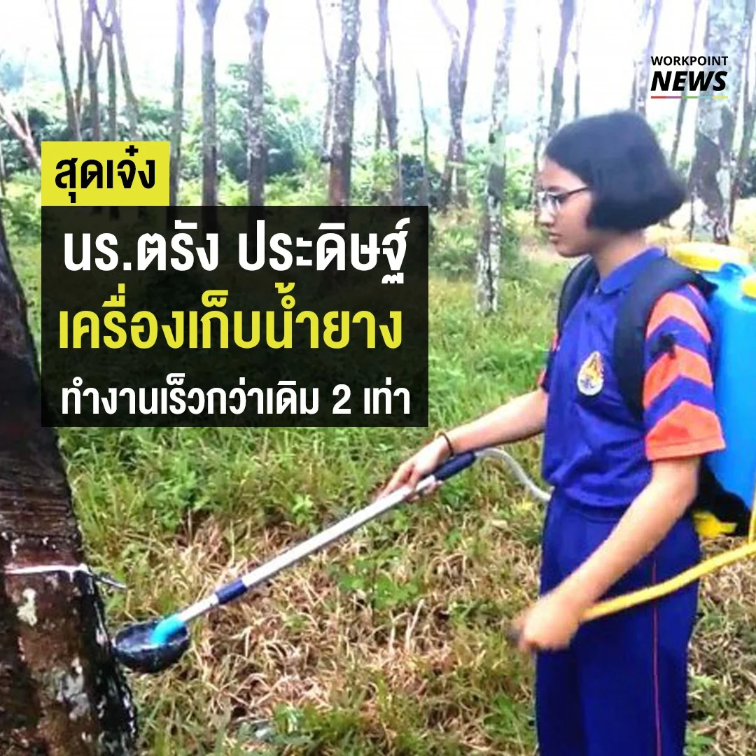 เครื่องเก็บน้ำยาง ทำงานเร็วกว่าเดิม 2 เท่า
