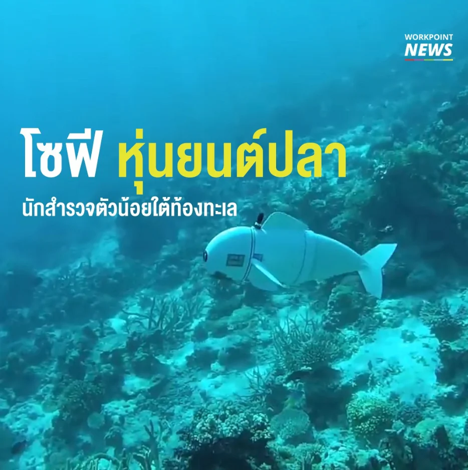 โซฟี หุ่นยนต์ปลา นักสำรวจตัวน้อยใต้ท้องทะเล