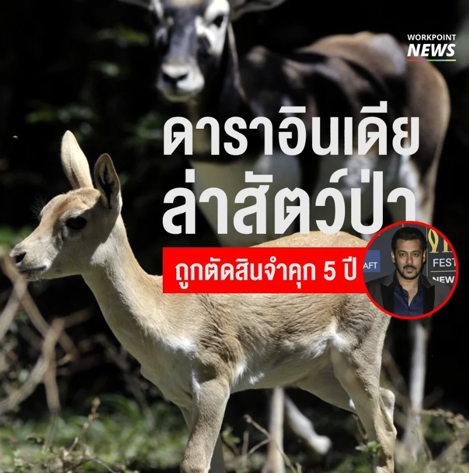 ซัลมาน ข่าน ดาราอินเดียล่าสัตว์ป่า ถูกตัดสินจำคุก 5 ปี