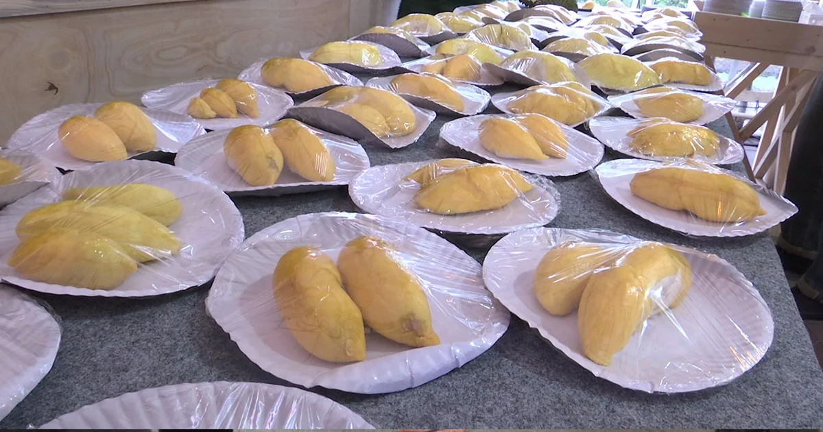 ปชช.แห่กิน ‘บุฟเฟ่ต์ทุเรียน’ หลังราคาทุเรียนพุ่ง