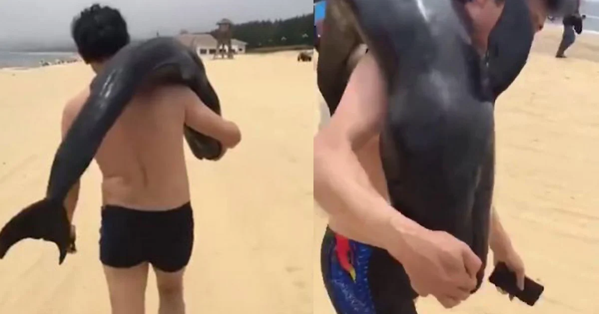 สุดงง! นทท.จีน เดินแบกโลมากลับบ้านหน้าตาเฉย
