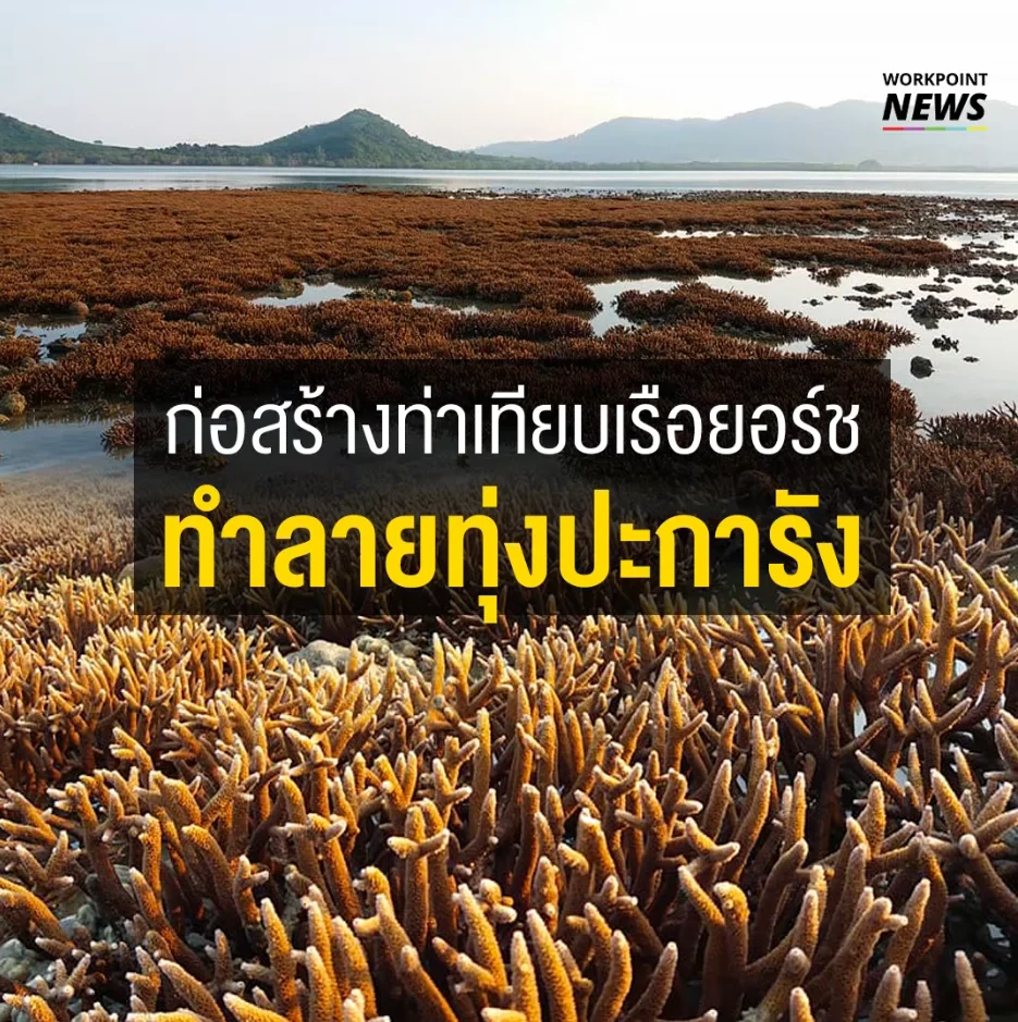 ก่อสร้างท่าเทียบเรือยอร์ช ทำลายทุ่งปะการัง