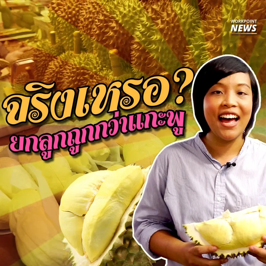 สายทุเรียนต้องรู้ เลือกซื้อทุเรียนแบบไหนถึงจะคุ้ม