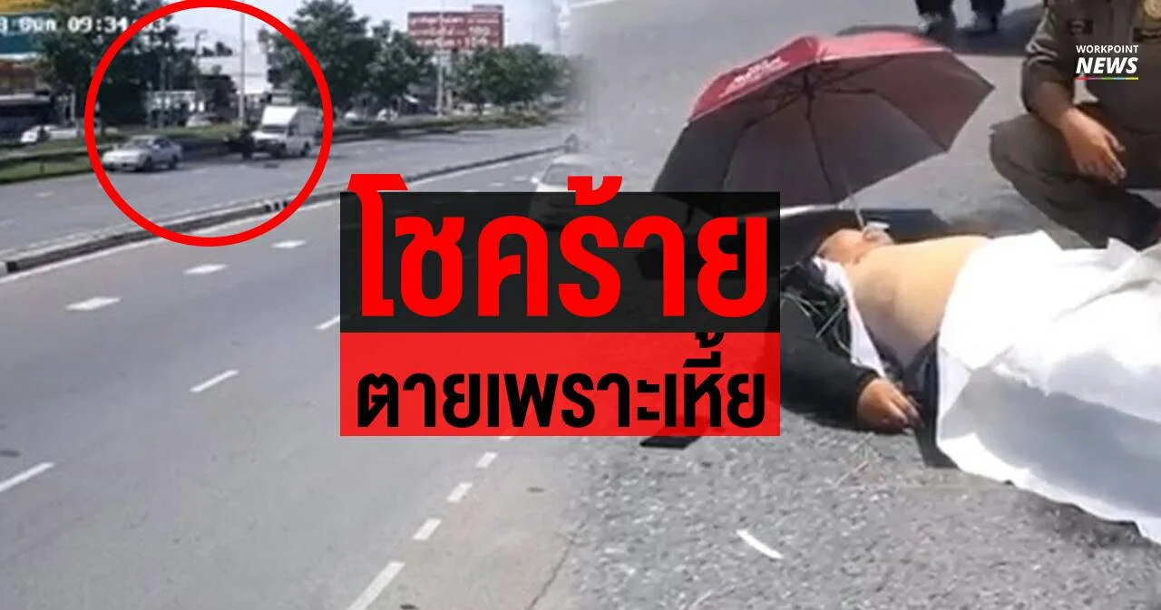 หนุ่มโชคร้าย ตายเพราะเหี้ยข้ามถนน
