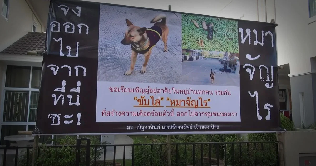 เพื่อนบ้านสุดทน ! ขึ้นป้ายประกาศขับไล่หมา “เจ้าโบ้” ออกจากหมู่บ้าน