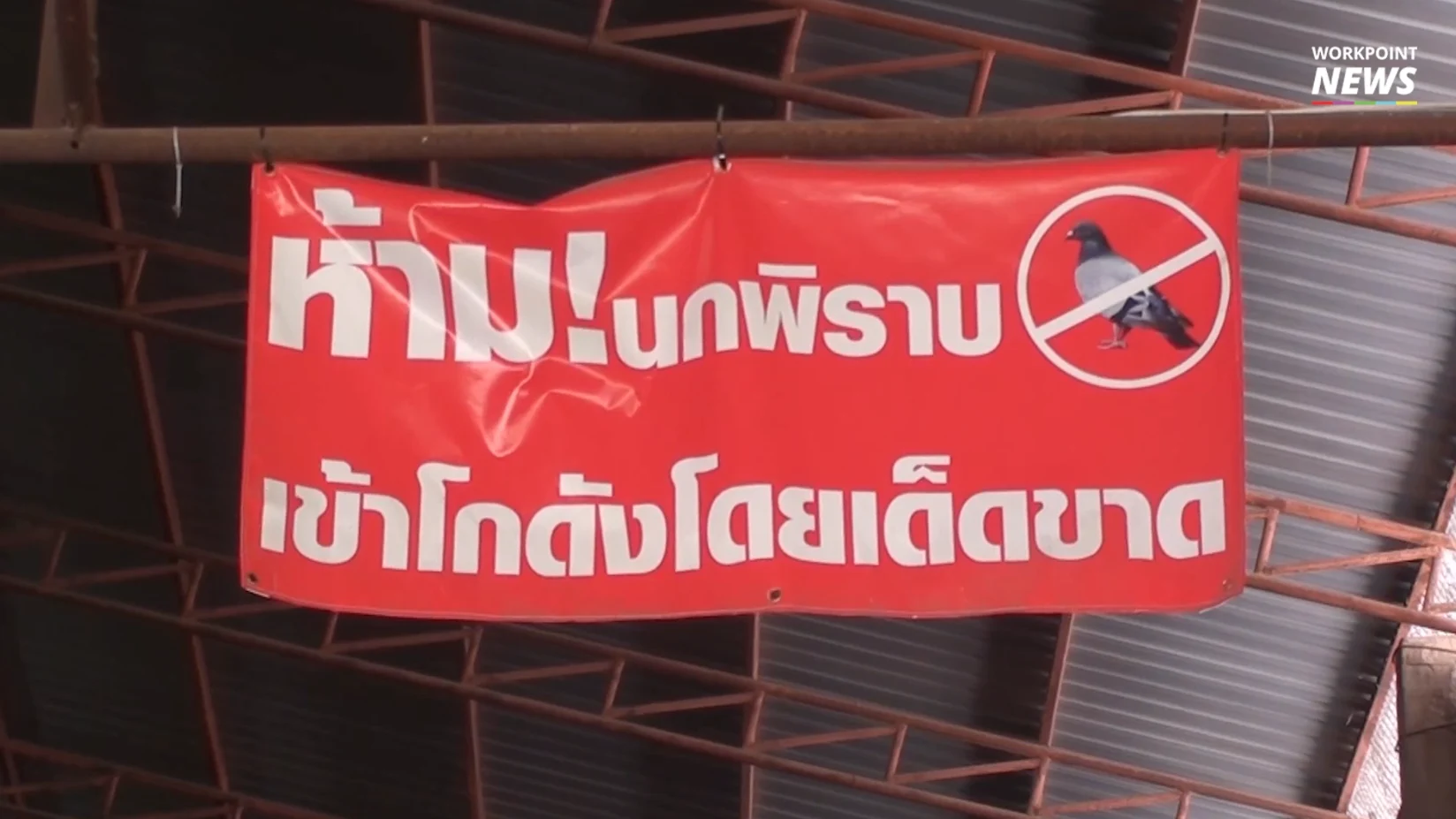 ชาวเน็ตเเซว ป้ายห้ามนกเข้าโกดัง ผู้ติดตั้งยืนยันนกน้อยลงเพราะนกกลัวสีแดง