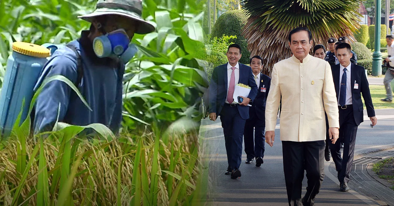นายกฯ ชี้ร่างพ.ร.บ.ข้าว ที่แพร่ในช่วงนี้ไม่ใช่ของจริง-ยืนยันเลิกใช้สาร “พาราควอต”