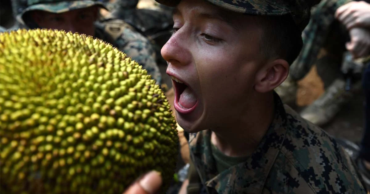 ชาวเน็ตเอเชียเดือด หนังสือพิมพ์ผู้ดีบอก “ขนุน” ไม่อร่อย