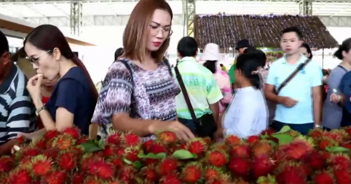 นักท่องเที่ยวเเห่ชิมผลไม้ฟรีเมืองจันท์ช่วงหยุดยาว