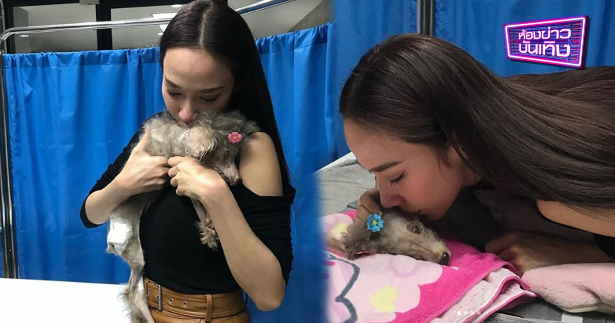 “อั้ม” โพสต์เศร้าถึงน้องหมาสุดรัก ยื้อชีวิต หลังอยู่ด้วยกันมา 20 ปี