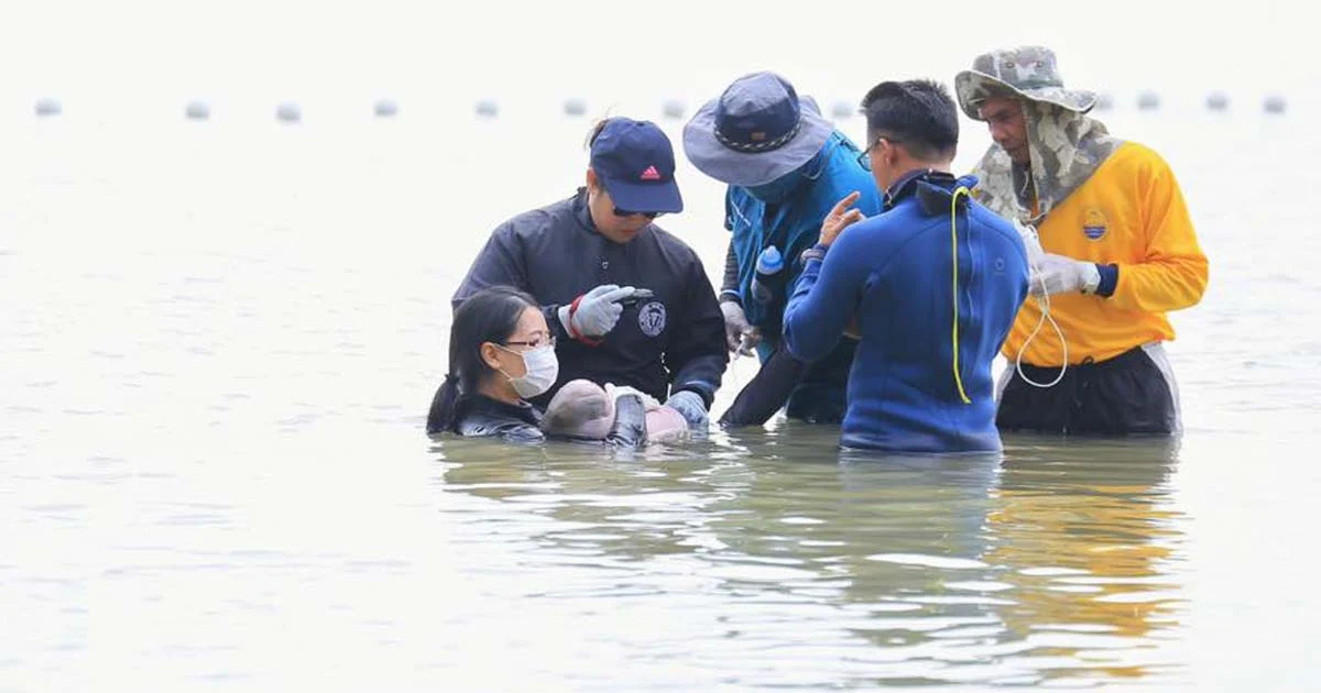 เตรียมไลฟ์สดเกาะติดชีวิต “มาเรียม” 24 ชม. คาดเริ่มเดือนกรกฎาคมนี้