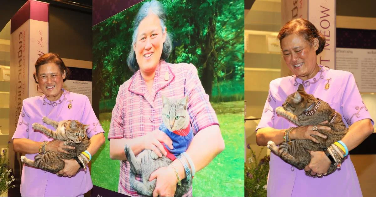 กรมสมเด็จพระเทพฯ ทรงอุ้มแมวทรงเลี้ยง เปิดนิทรรศการ “แมวเอ๋ย แมวเหมียว”