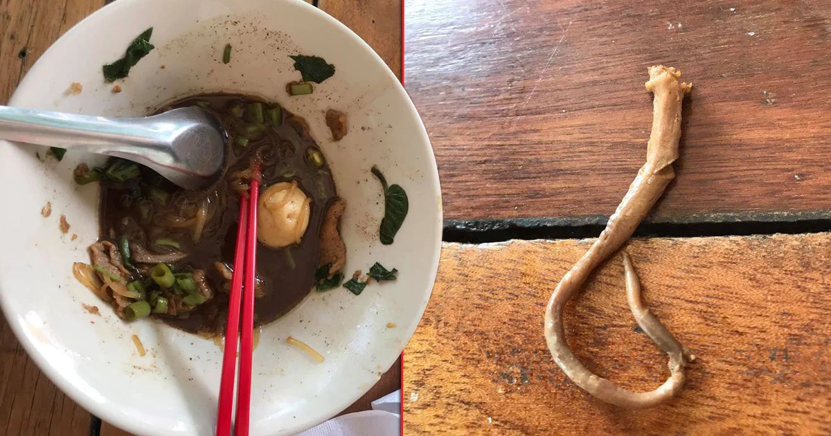 เจ้าของร้านก๋วยเตี๋ยวเชียงใหม่เร่งหาคำตอบหลังลูกค้าพบสิ่งแปลกปลอมในชาม