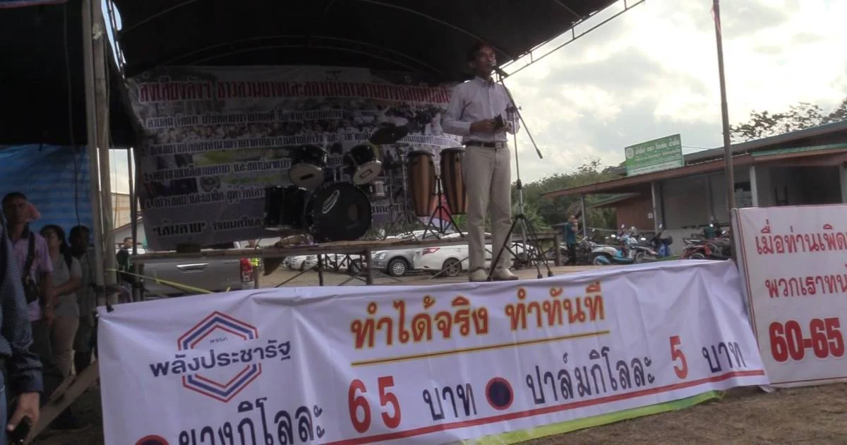 ม็อบยางยังชุมนุมยืดเยื้อ ทวงพรรครัฐบาลรับปาก ยางราคาโลละ 60-65 บาท
