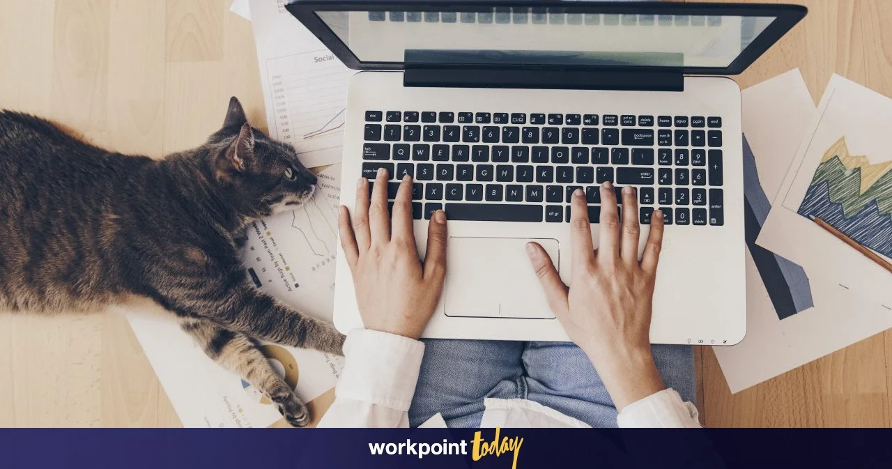 แนะนำ 10 แอปช่วย “Work from Home” ในยุคโควิด-19 ทั้งการประชุมและจัดการเอกสาร