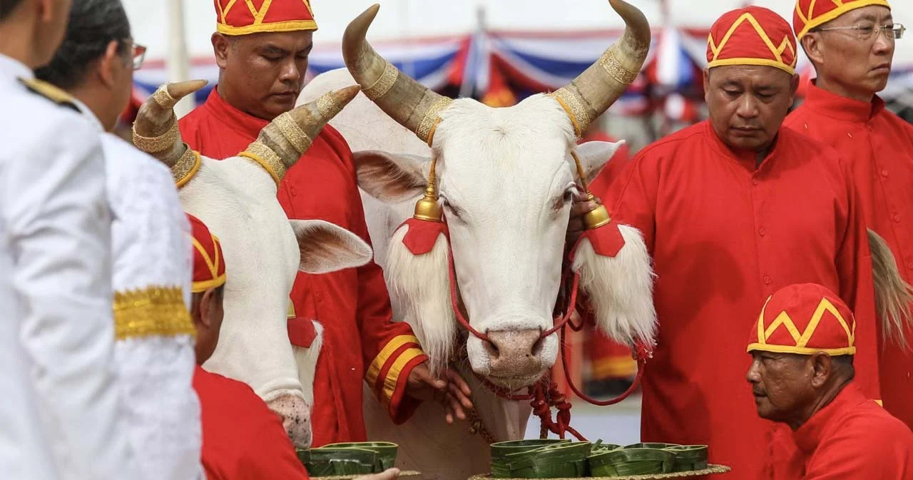 วิษณุ เผย ปีนี้ไม่มีการจัดพระราชพิธีจรดพระนังคัลแรกนาขวัญที่สนามหลวง