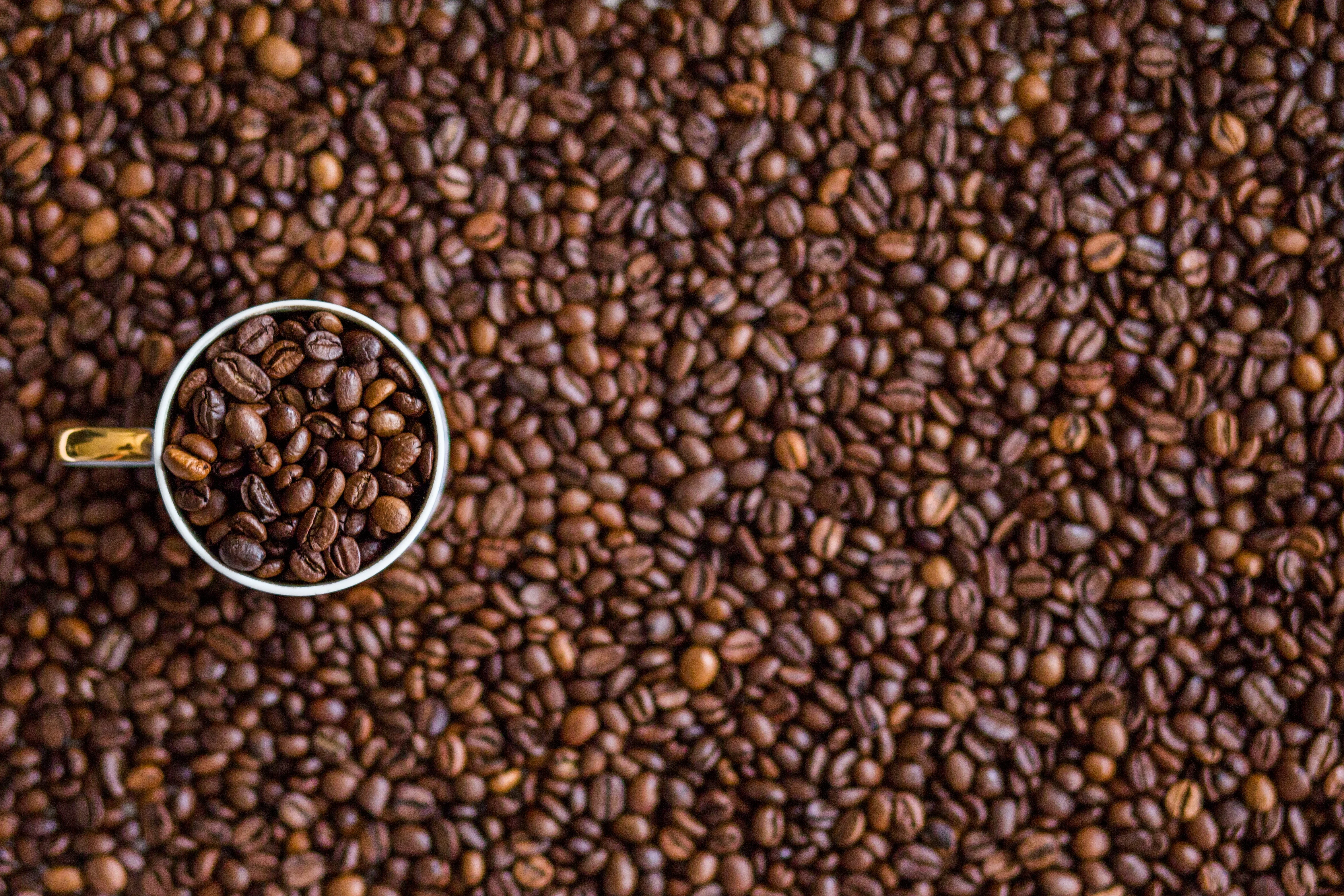 ราคาเมล็ดกาแฟร่วงหนัก ลดลงถึง 14% ในสัปดาห์ล่าสุด เหตุคนยังไม่เข้าร้าน-โกดังไม่พอเก็บ