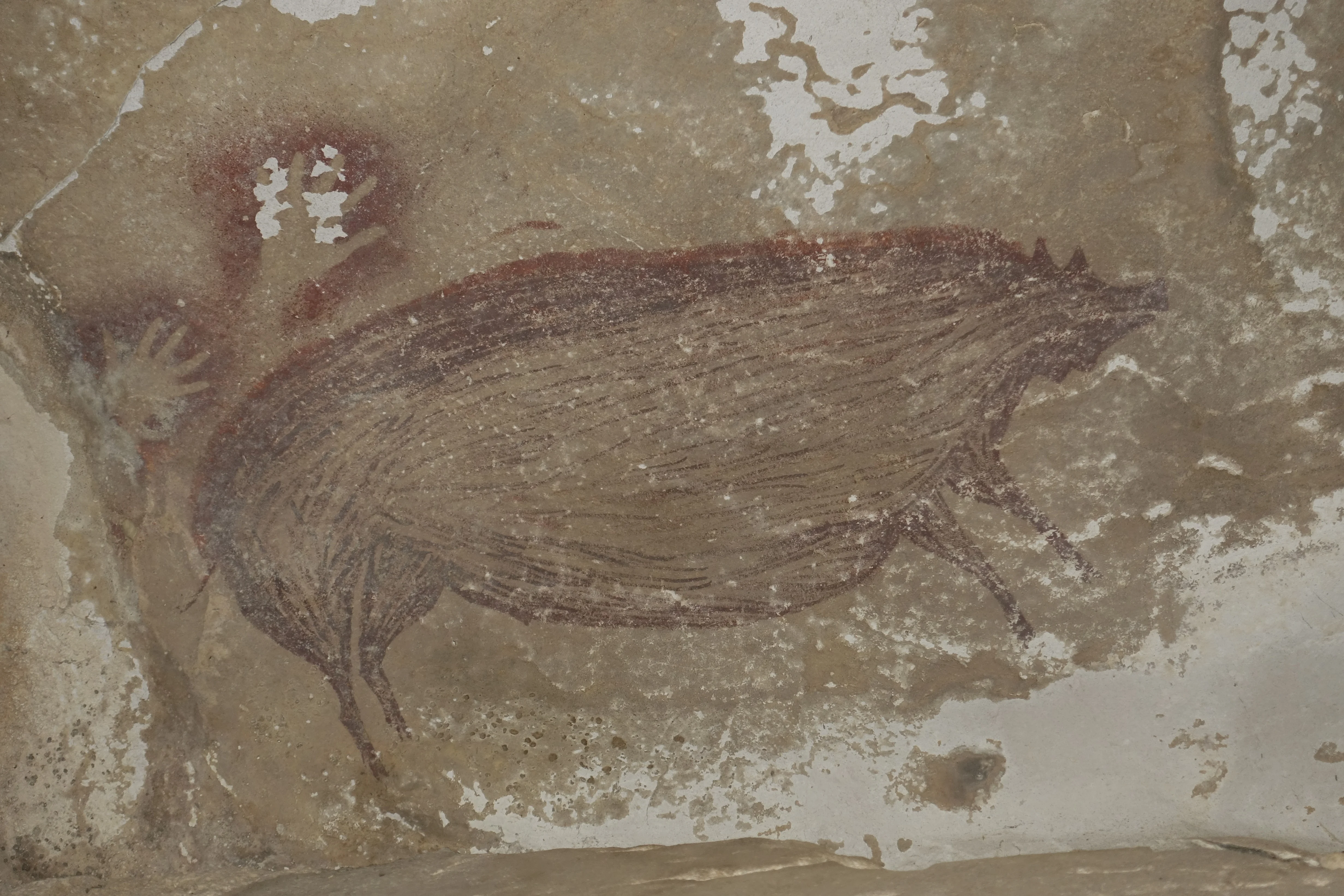 อินโดนีเซียพบภาพวาดผนังถ้ำอายุกว่า 45,500 ปี คาดเก่าแก่ที่สุดในโลก