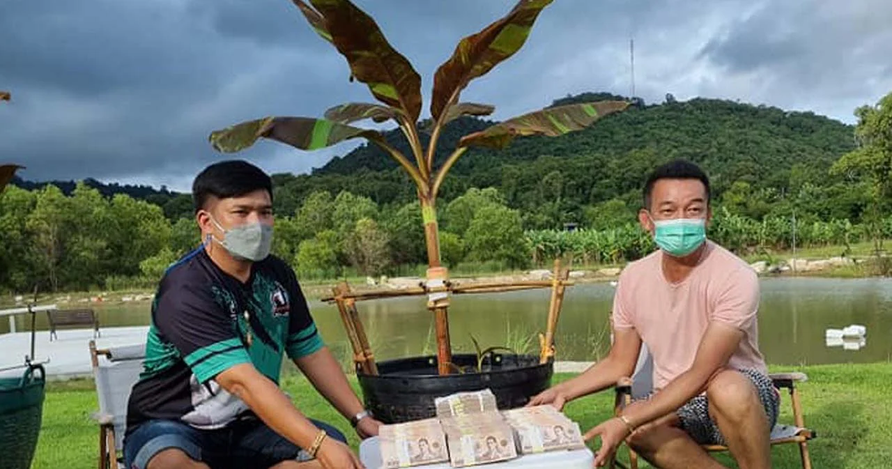 หนุ่มใจป้ำควักเงิน 10 ล้านบาท ซื้อกล้วยด่างแดงอินโด 