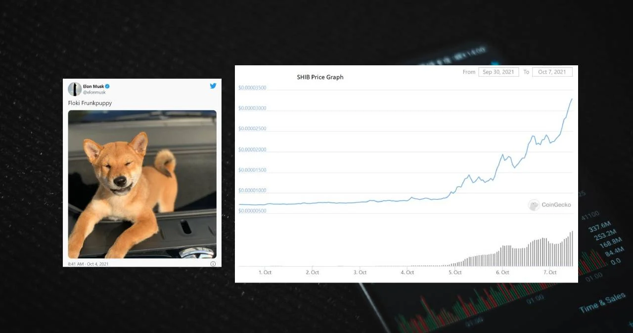เหรียญ Shiba Inu ราคาพุ่งแรง หลัง ‘อีลอน มัสก์’ เจ้าเดิมทวีตภาพลูกสุนัขชิบะ