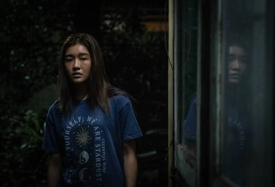 Жауынгер мысықтарды оқыңыз: Bramblestars Storm: Water and Blood