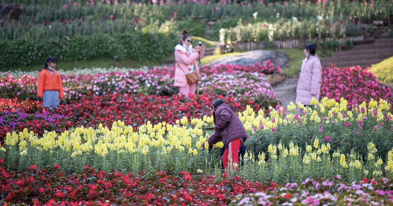 ‘สีสันแห่งดอยตุง ครั้งที่ 8’ ชวนใช้อ้อมกอดธรรมชาติ ‘Forward to Nature’ 